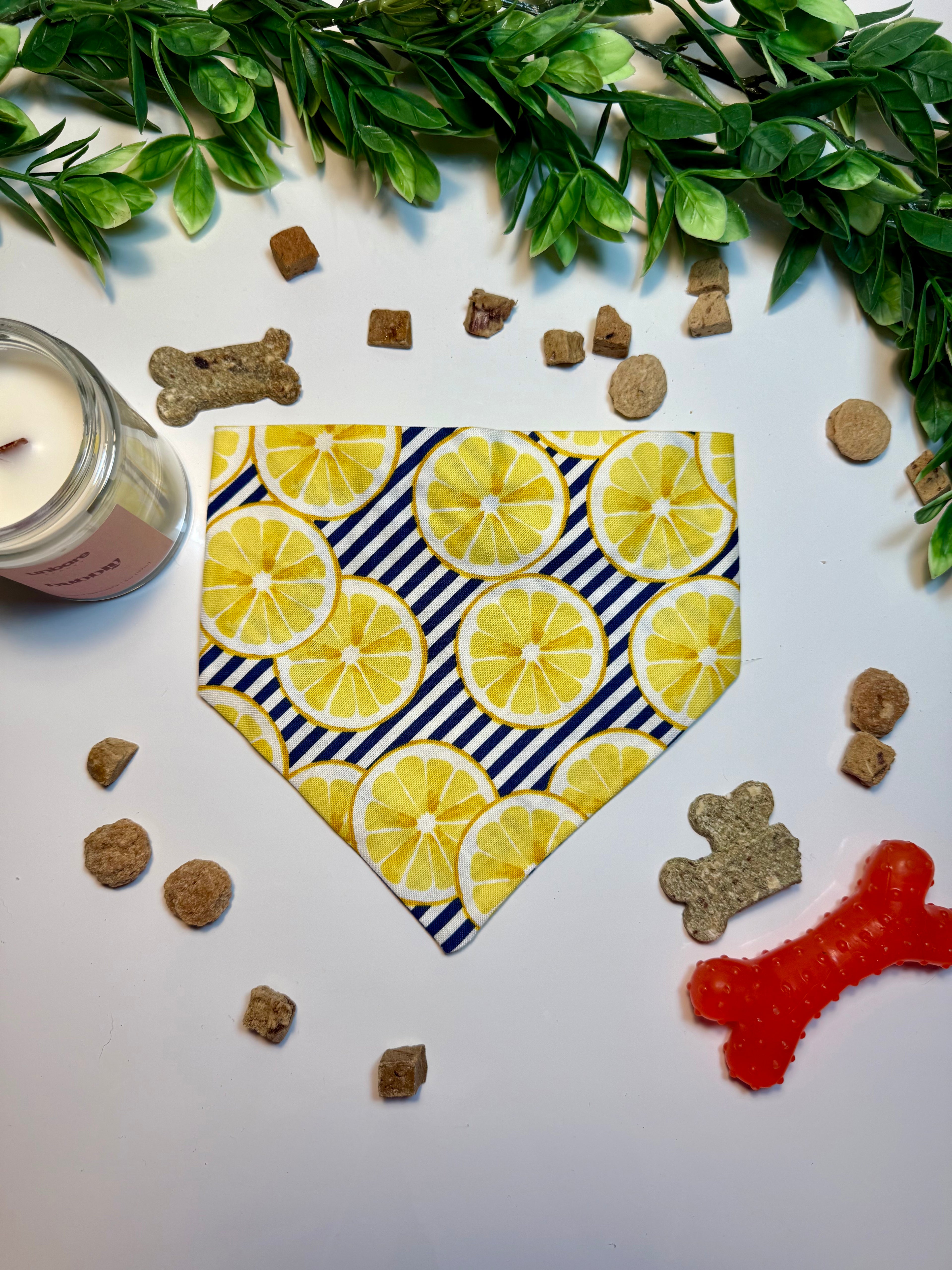 Lemon Splash Bandana