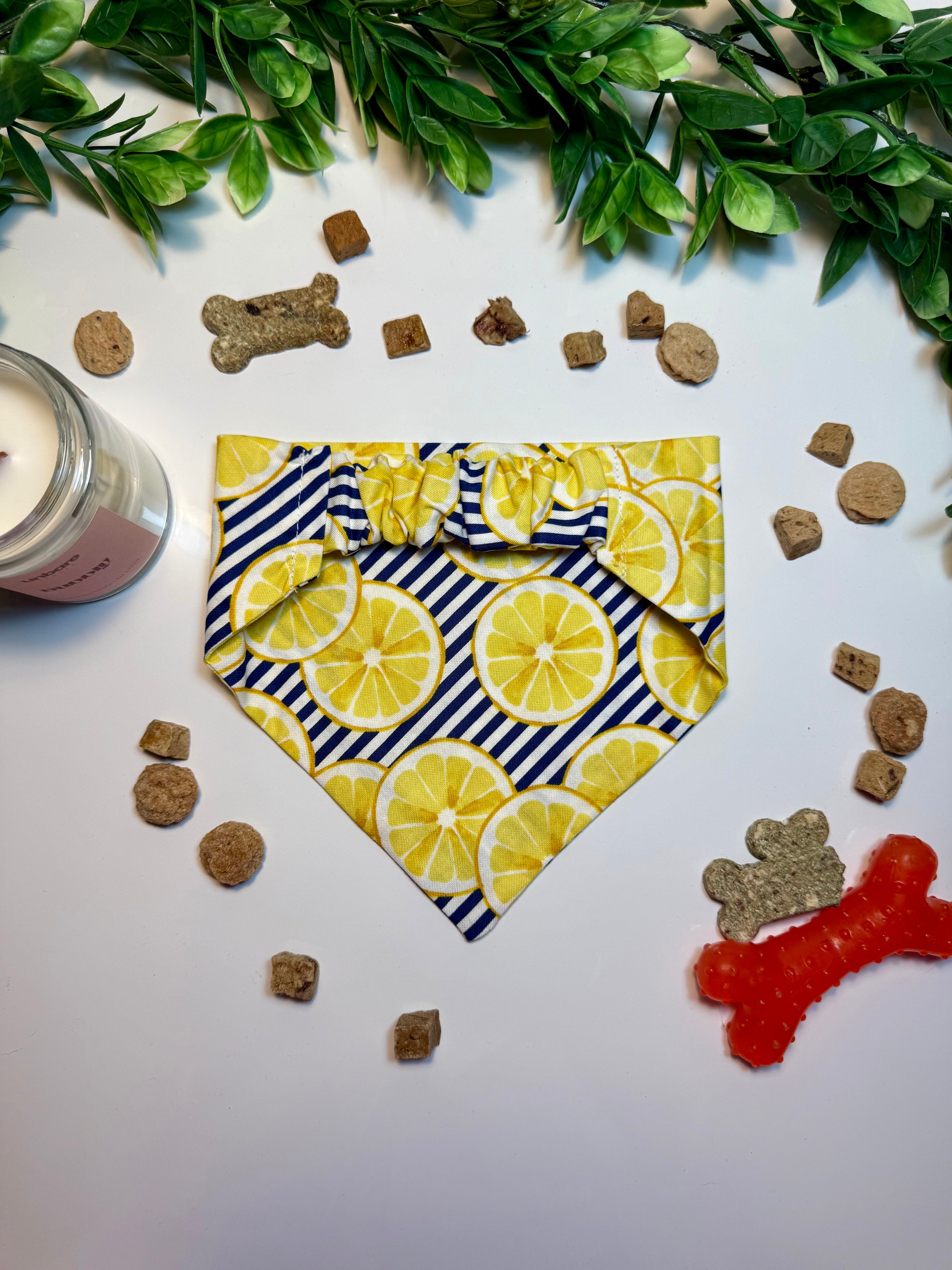 Lemon Splash Bandana