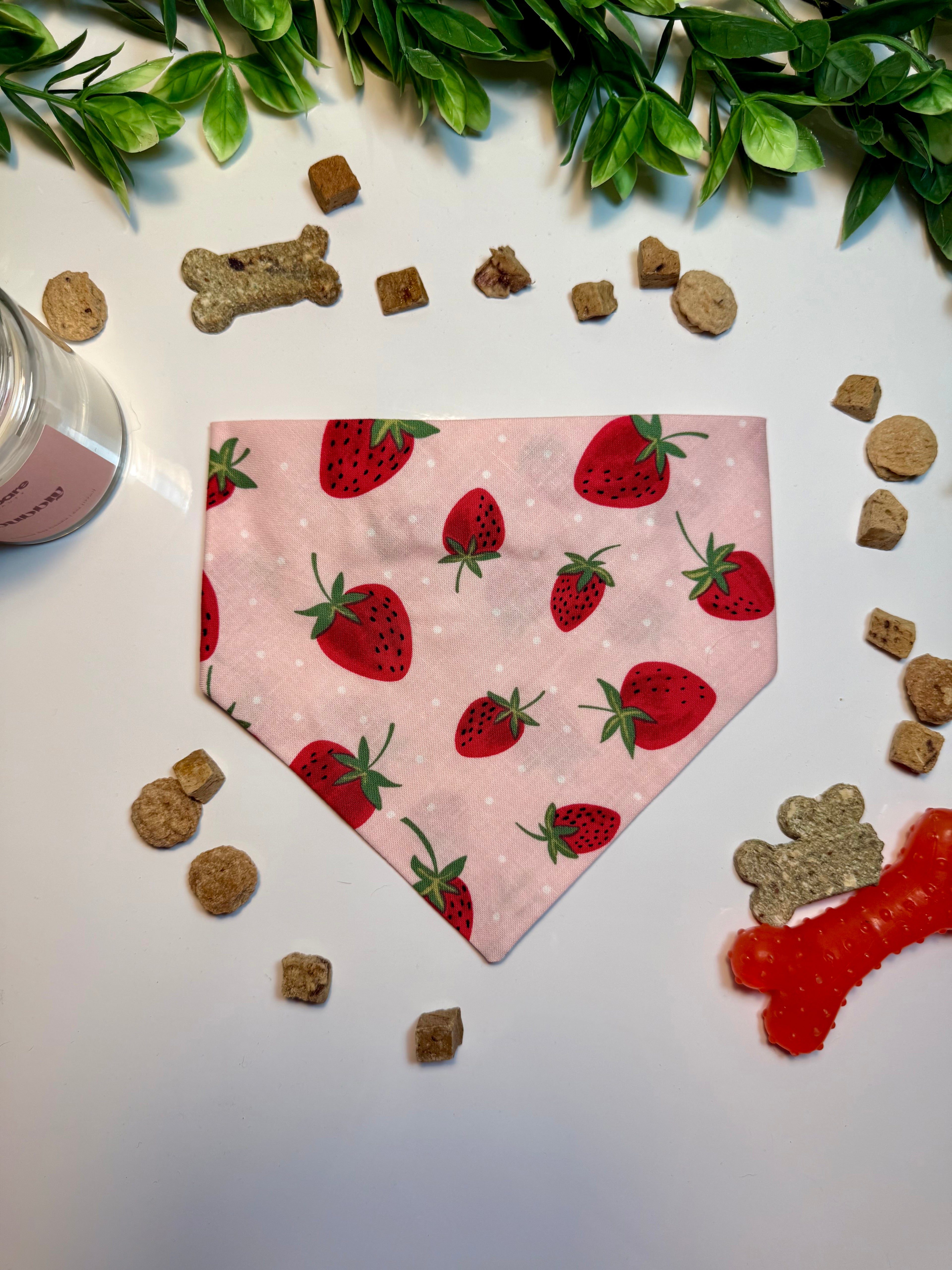 Strawberry Bandana