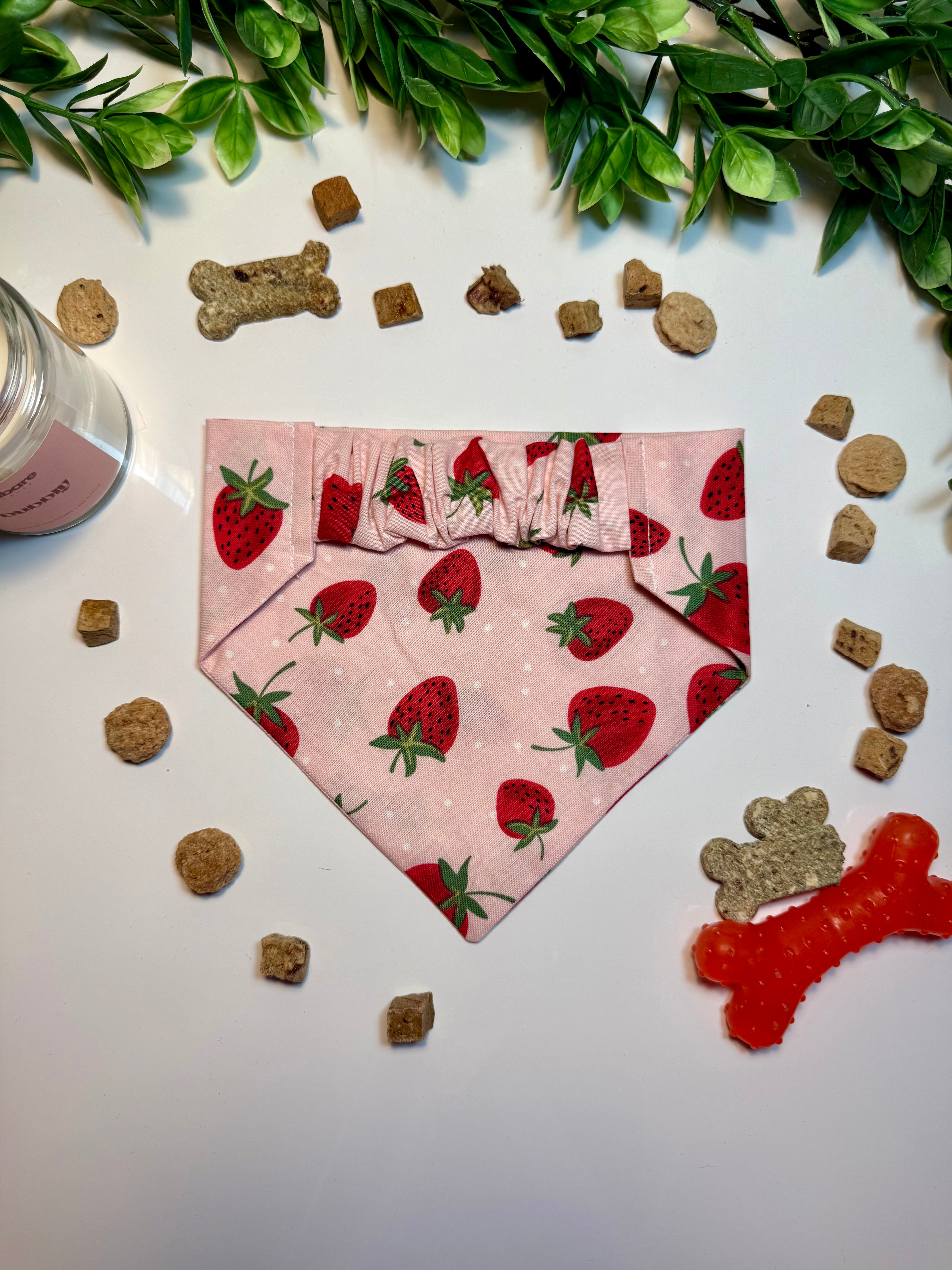 Strawberry Bandana