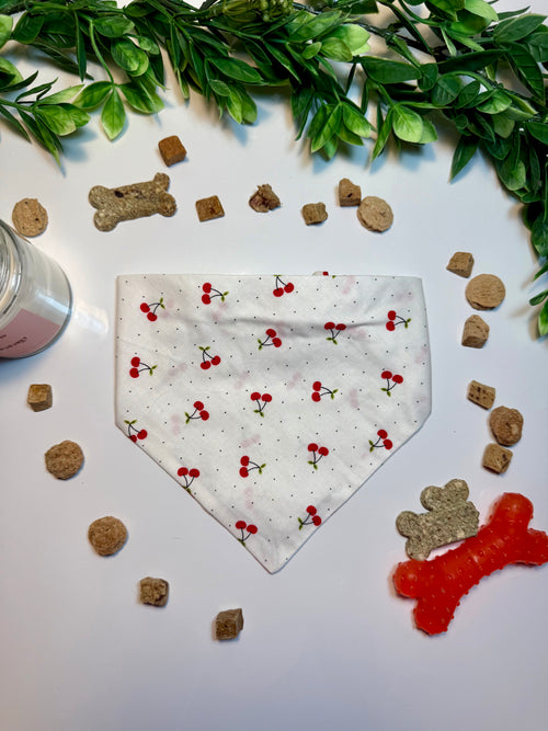 Cherry Bliss Bandana