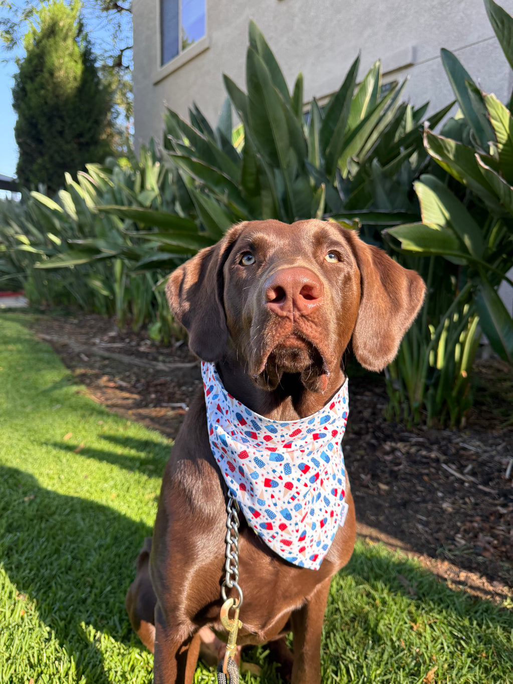 Patriotic Ice Cream Bandana