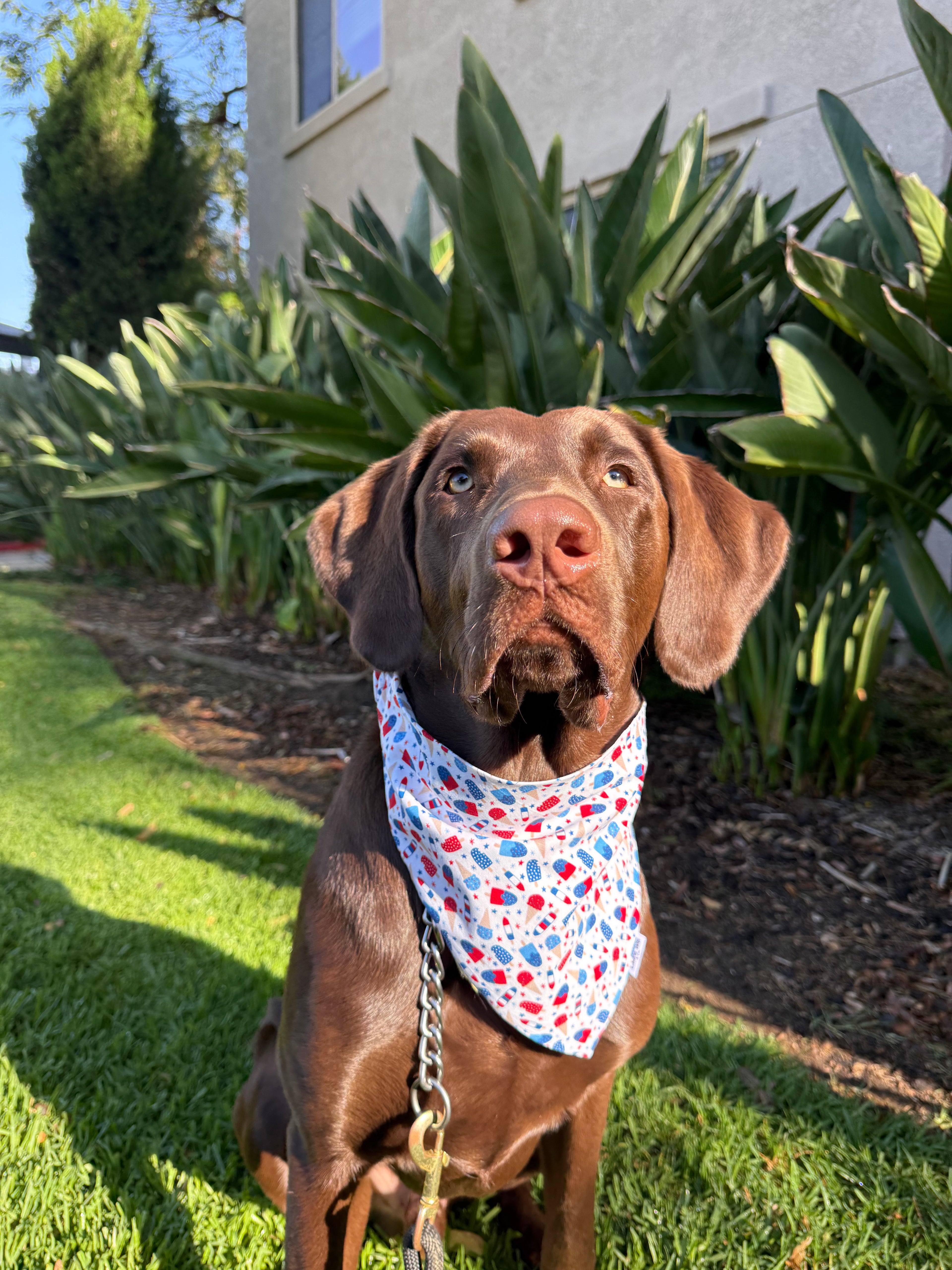 Patriotic Ice Cream Bandana
